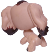 #0575 Cocker Spaniel